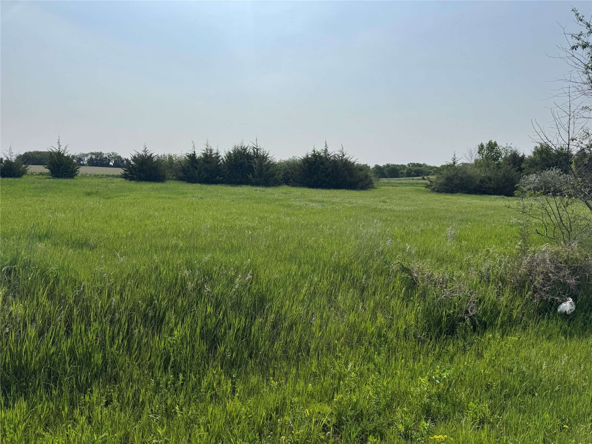 Panora, IA 50216,4622 Canfield Drive