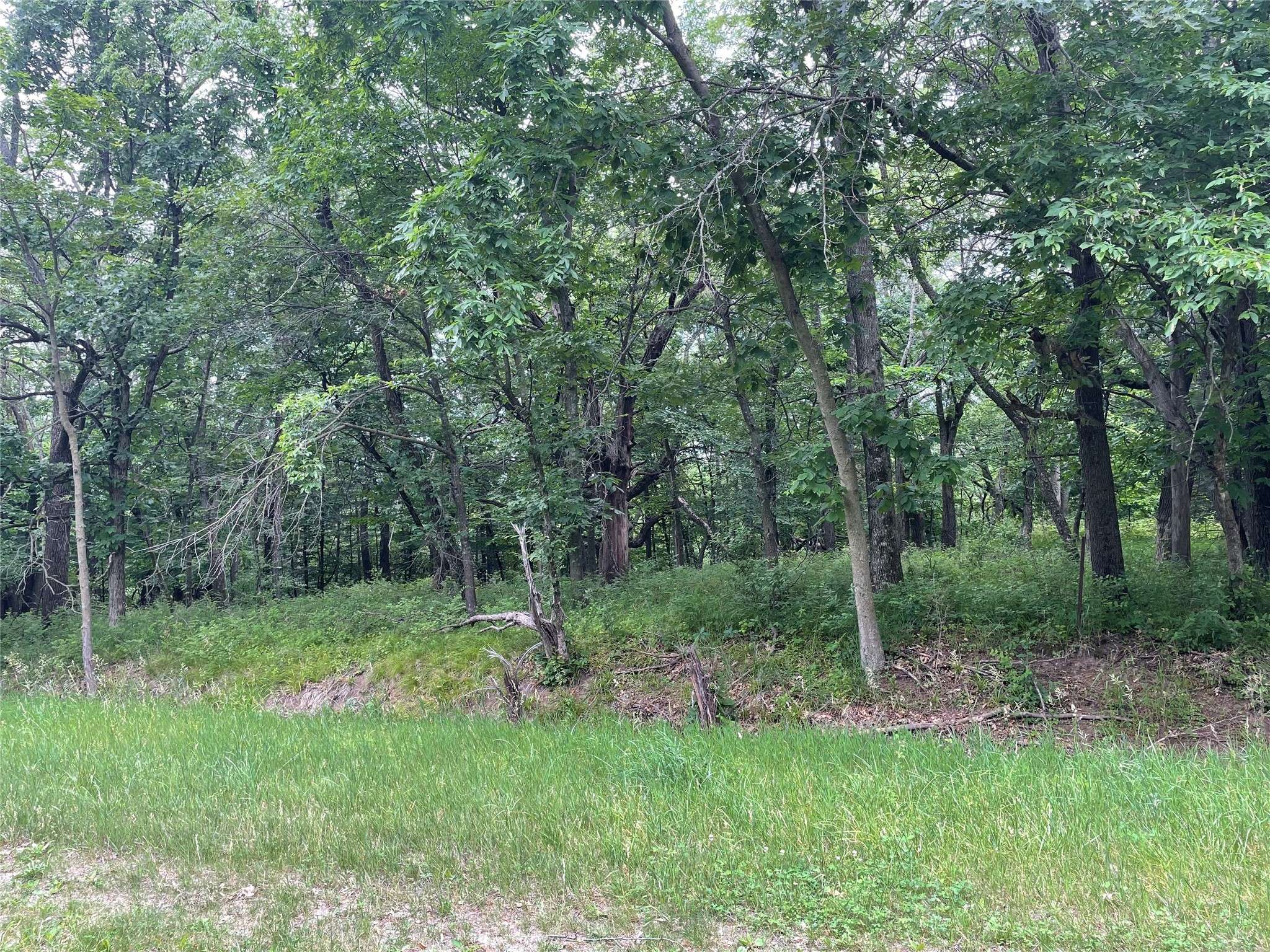 Panora, IA 50216,4007 Birch Lane