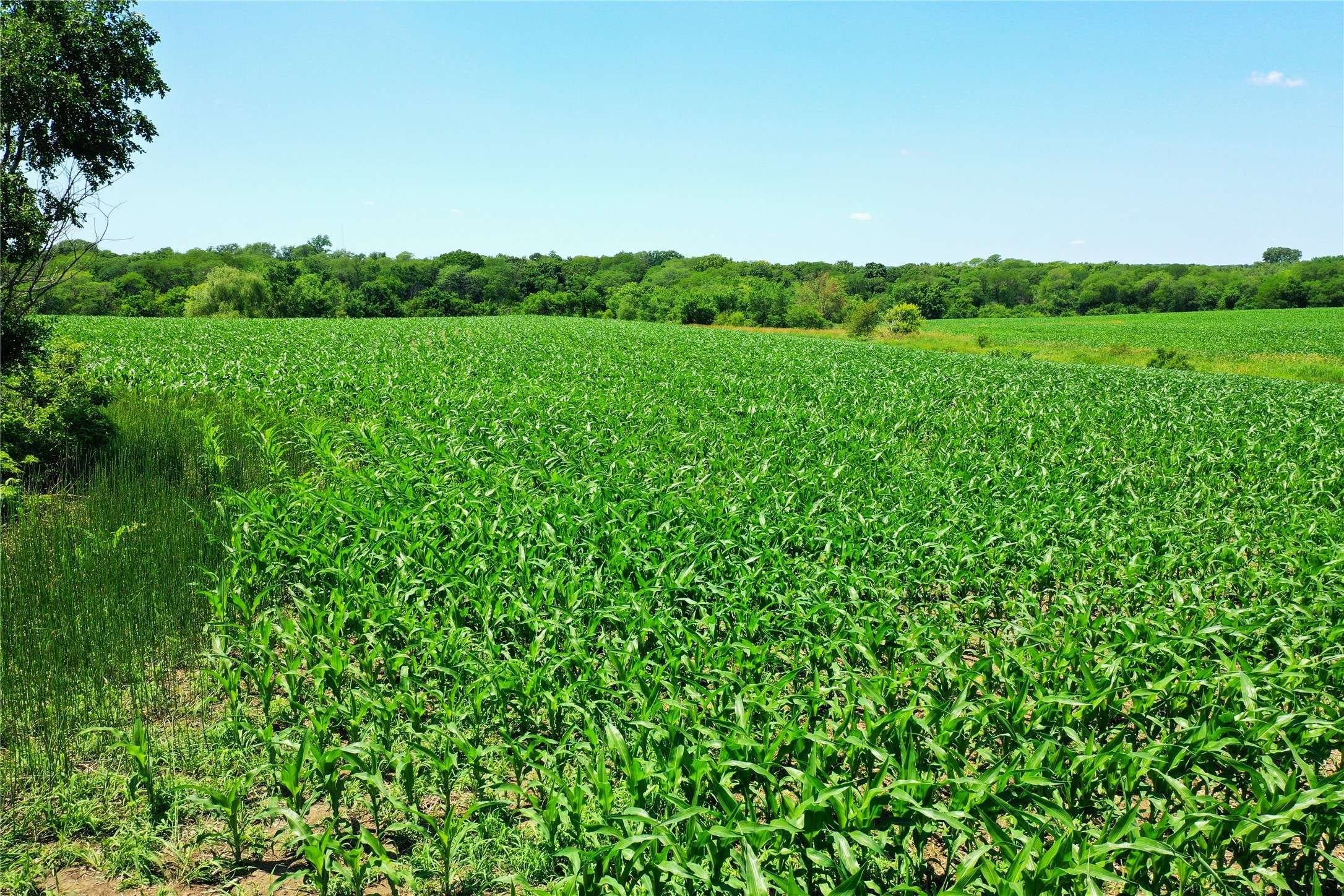 Bussey, IA 50044,010 605th Lane