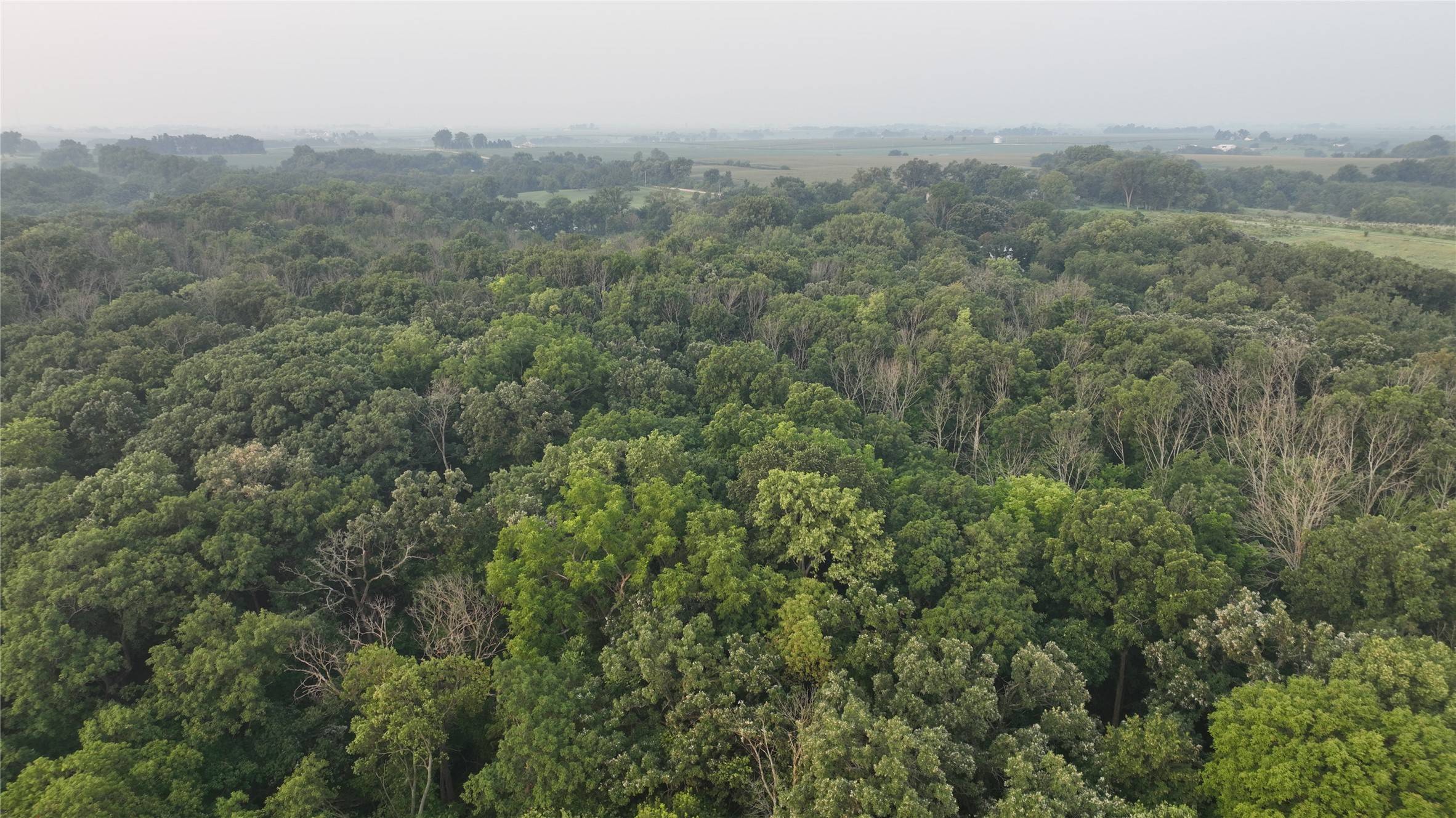 Winterset, IA 50273,0000 Hogback Bridge Road