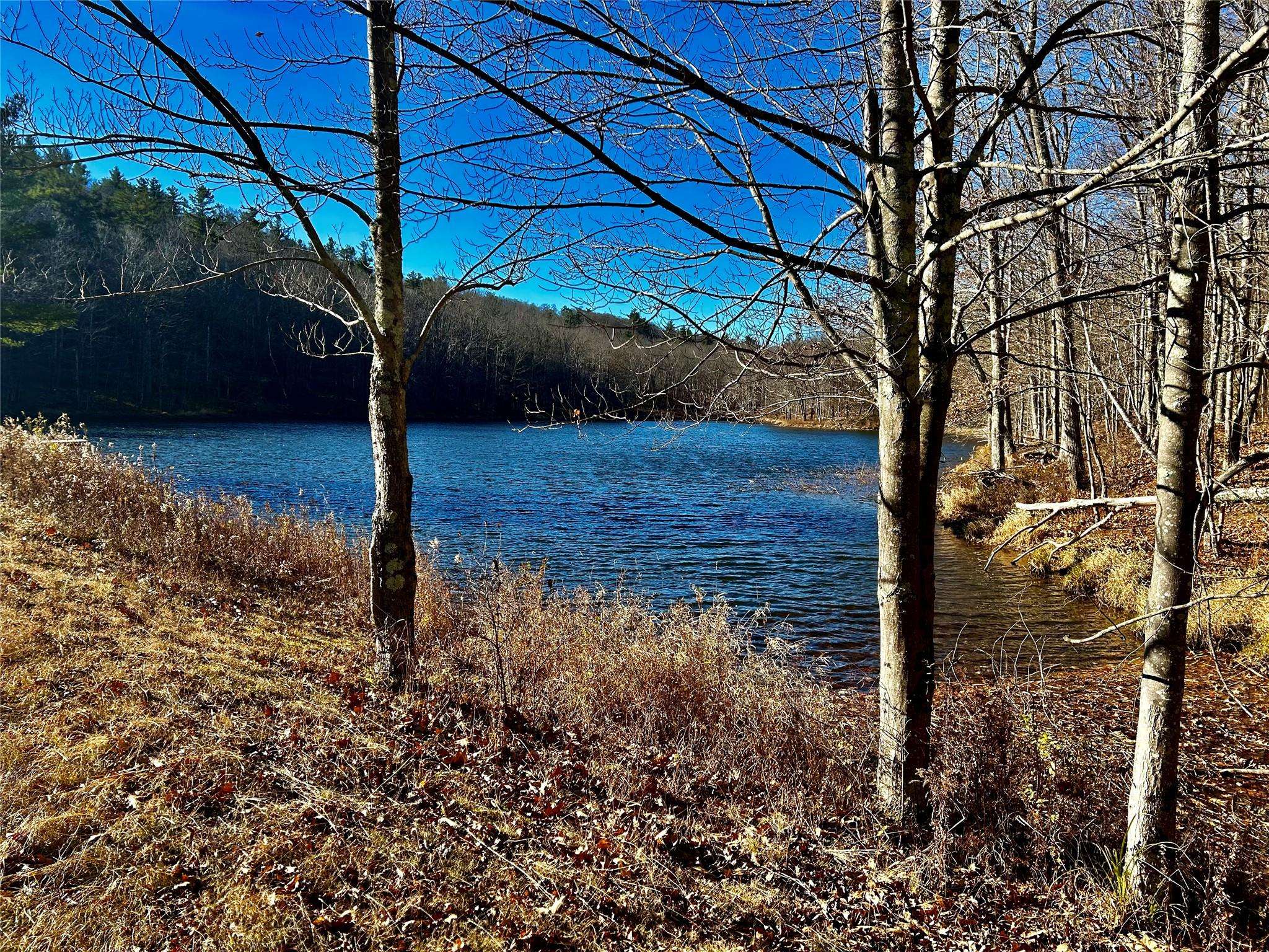 Austerlitz, NY 12017,00 Dugway