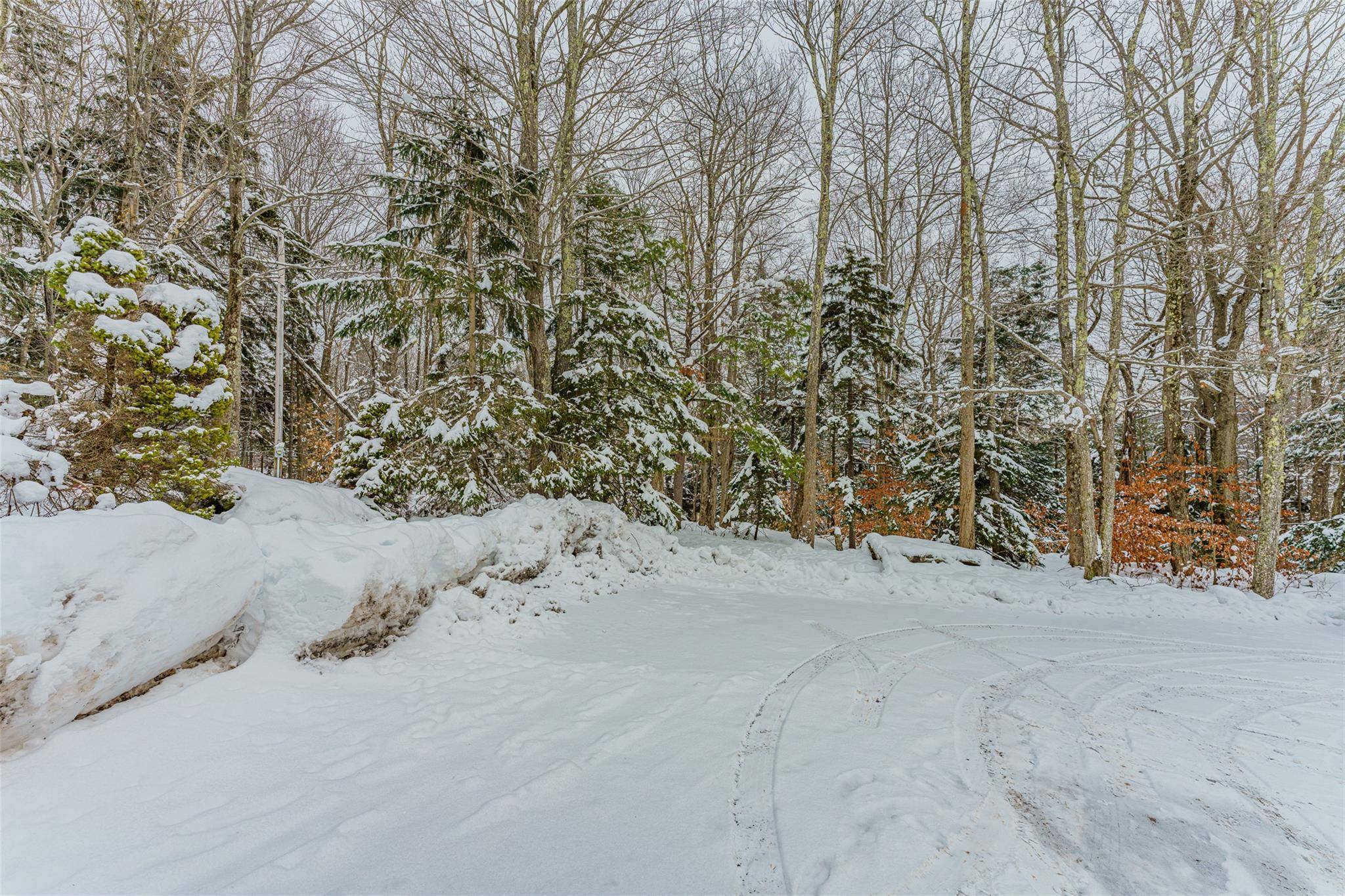 Tannersville, NY 12485,73 Fern Ridge Rd