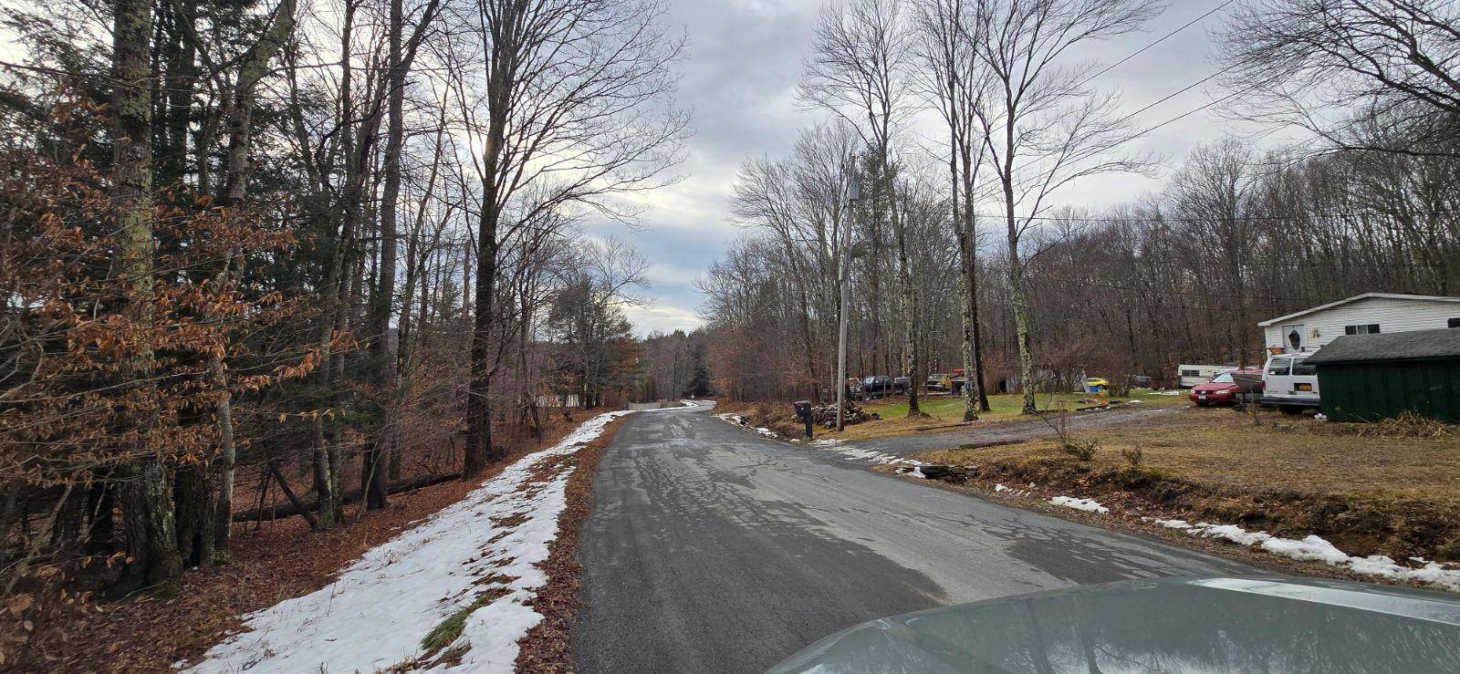 Fallsburg, NY 12733,00 Old Turnpike Rd Tr 85