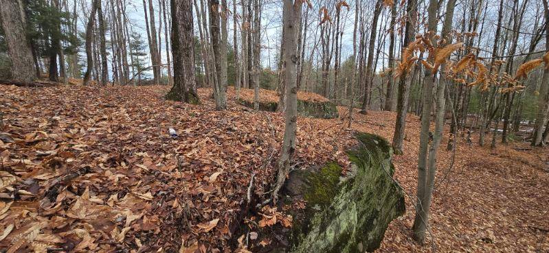 Fallsburg, NY 12733,00 Old Turnpike Rd Tr 85