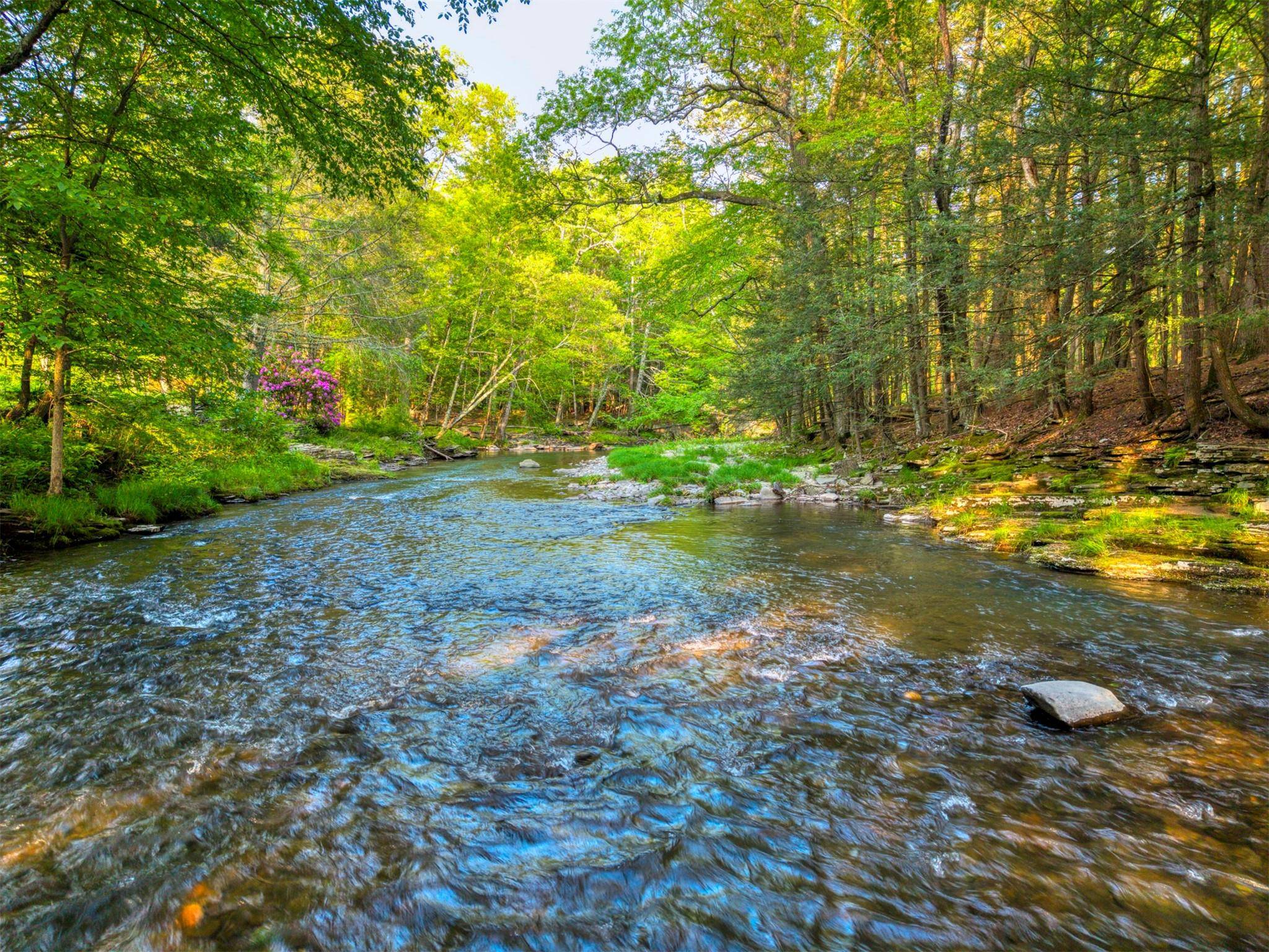 Woodstock, NY 12498,2565 Route 212