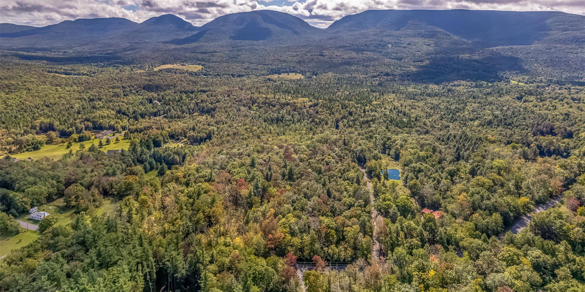 Hunter, NY 12427,132 Repucci Forest RD