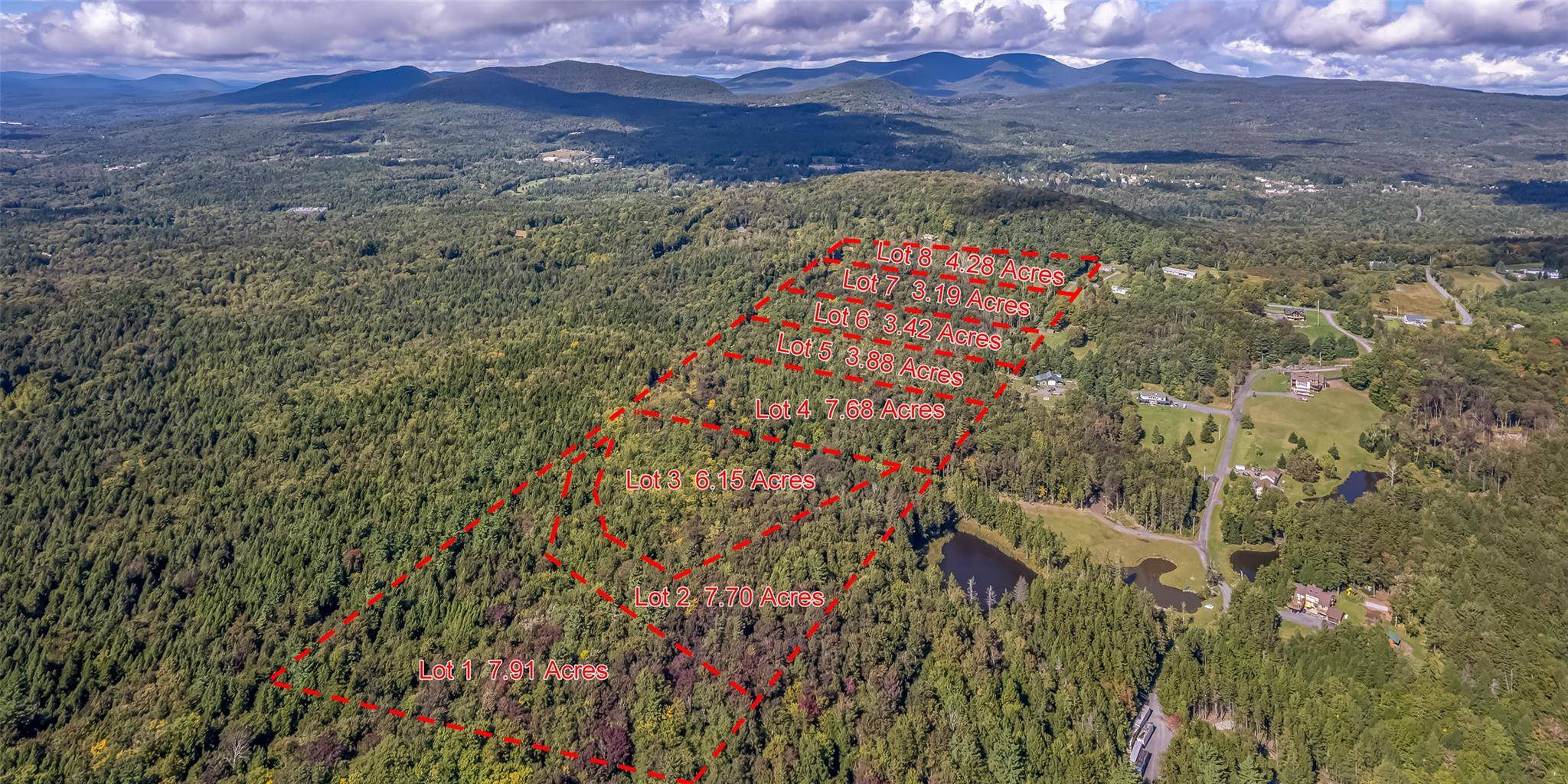 Hunter, NY 12427,132 Repucci Forest RD
