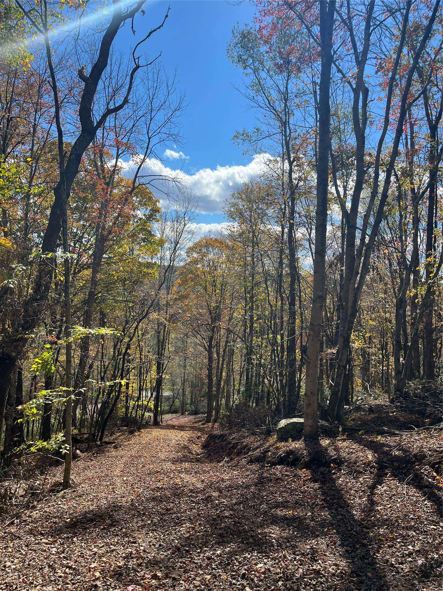 Livingston Manor, NY 12758,00 Debruce RD
