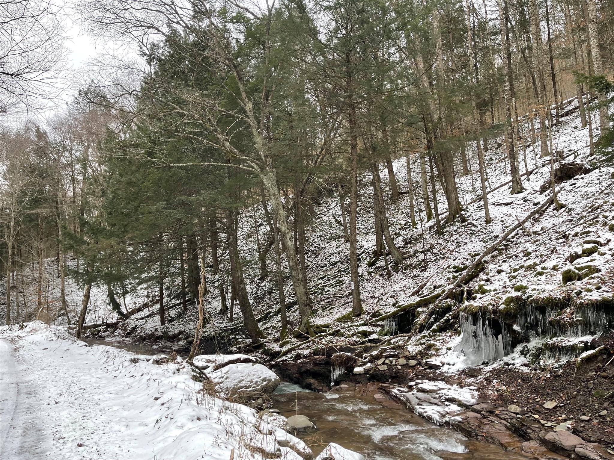 Hancock, NY 13783,Carcass Brook Spur