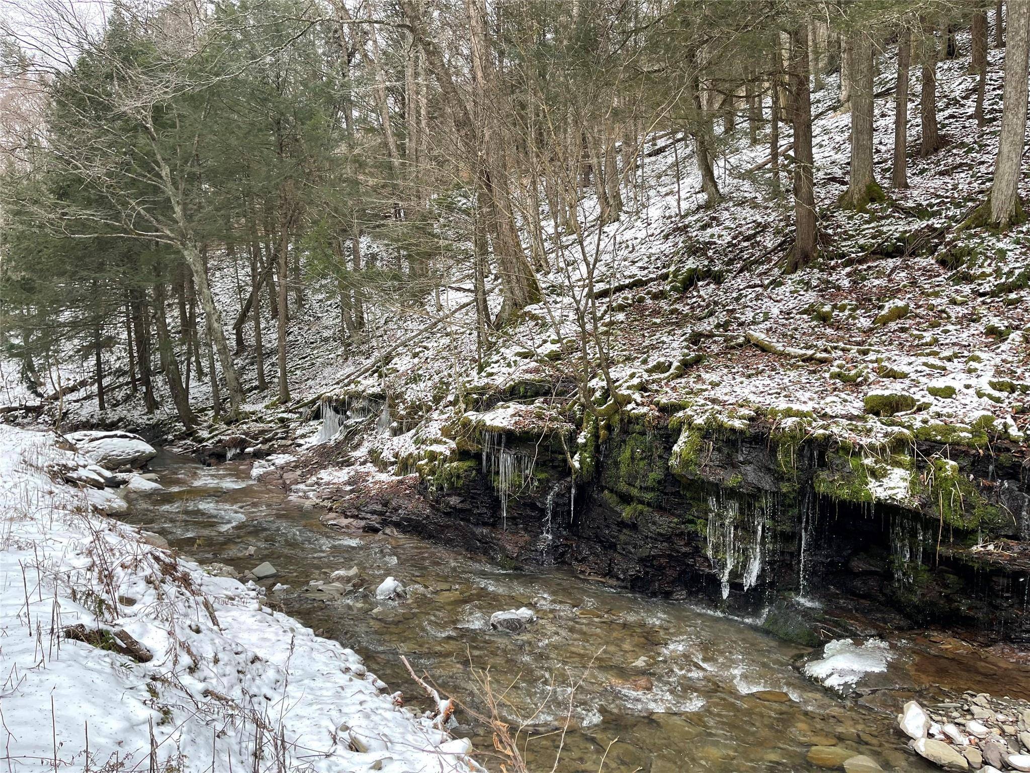 Hancock, NY 13783,Carcass Brook Spur