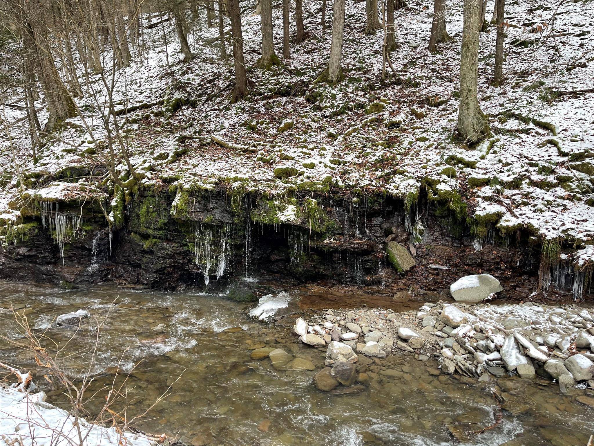 Hancock, NY 13783,Carcass Brook Spur