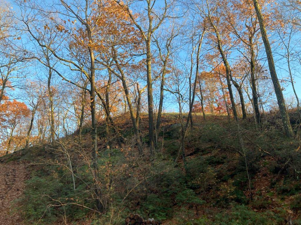 Cold Spring, NY 10516,554 East Mountain North RD