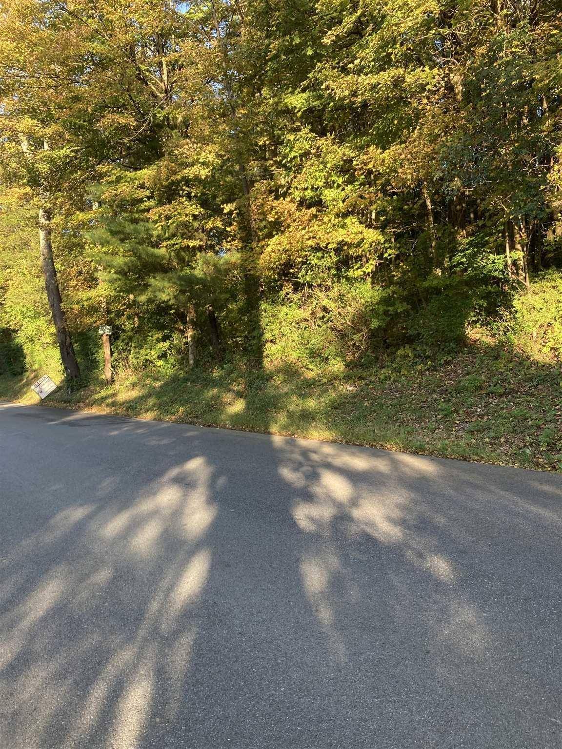 Hyde Park, NY 12538,RUTH - LOT #3 DR