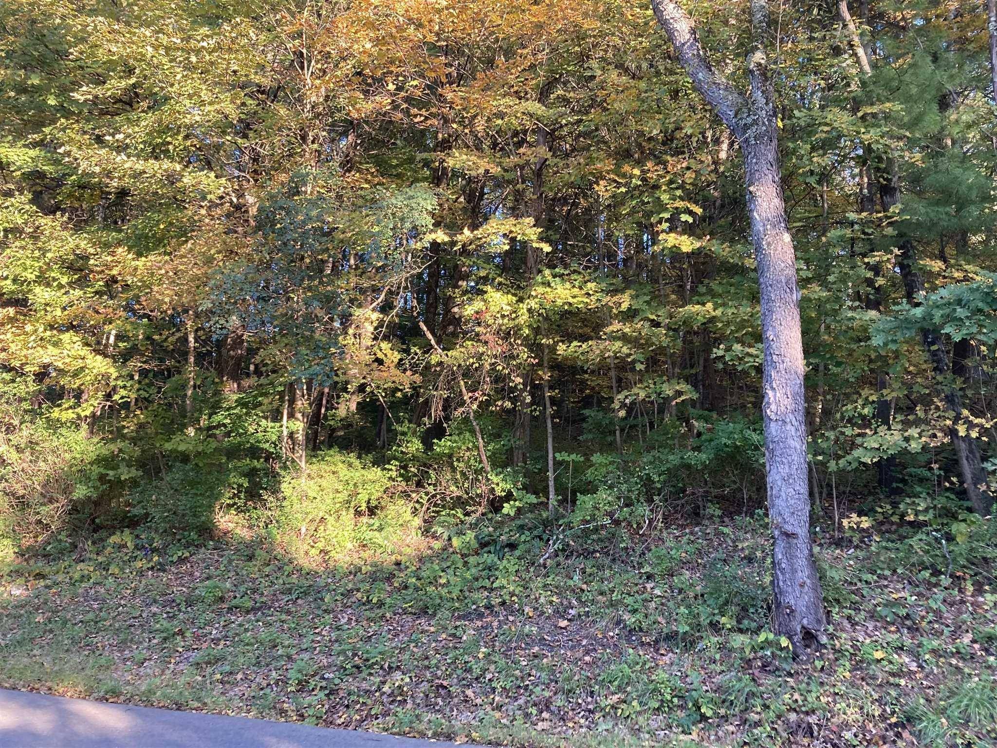 Hyde Park, NY 12538,RUTH LOT 7 DR