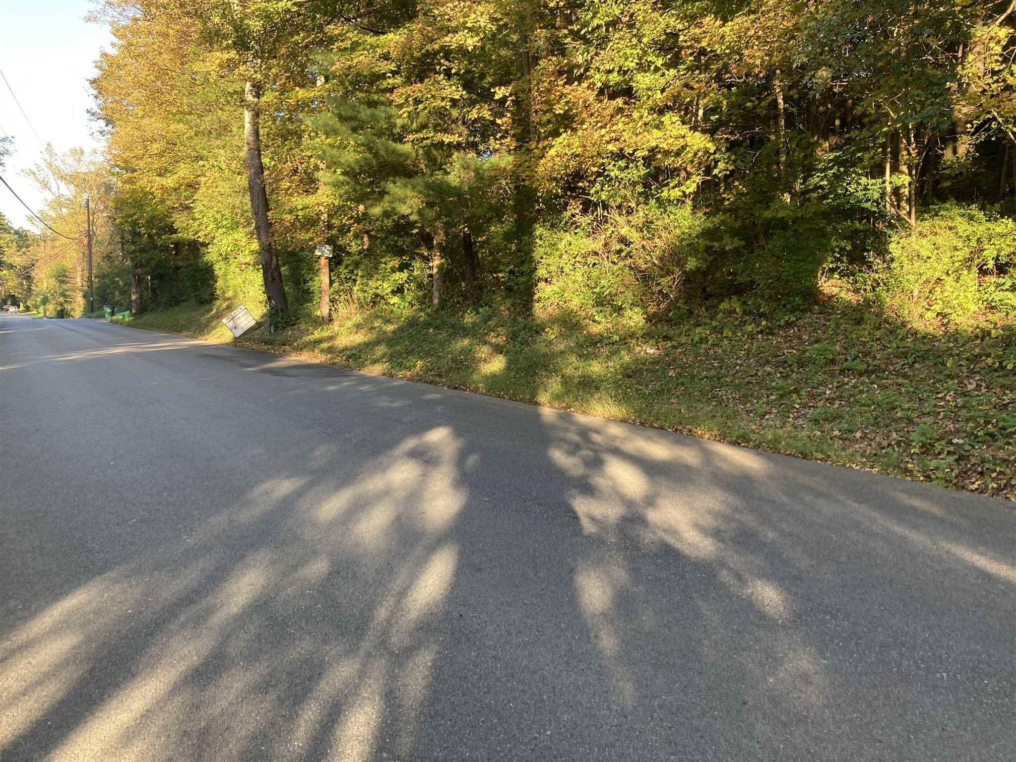Hyde Park, NY 12538,RUTH LOT 8 DR