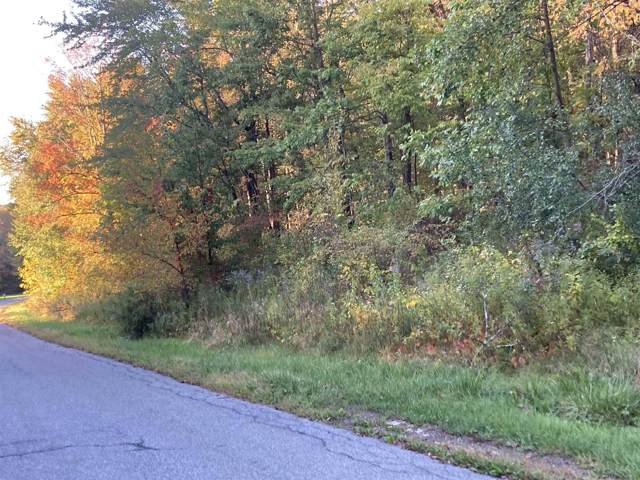 Hyde Park, NY 12538,RUTH LOT 17 DR