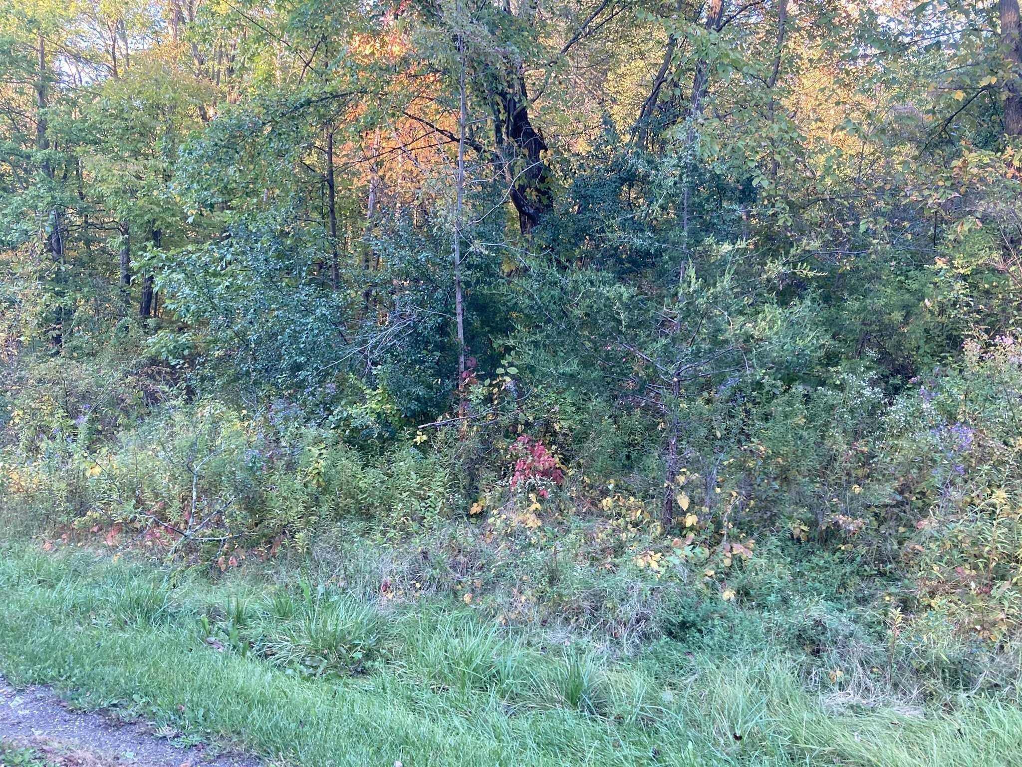Hyde Park, NY 12538,RUTH LOT 30 DR
