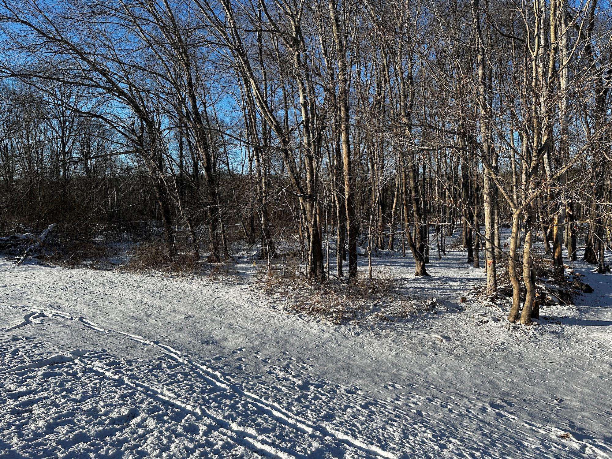 Highland, NY 12528,0 Route 299/New Paltz