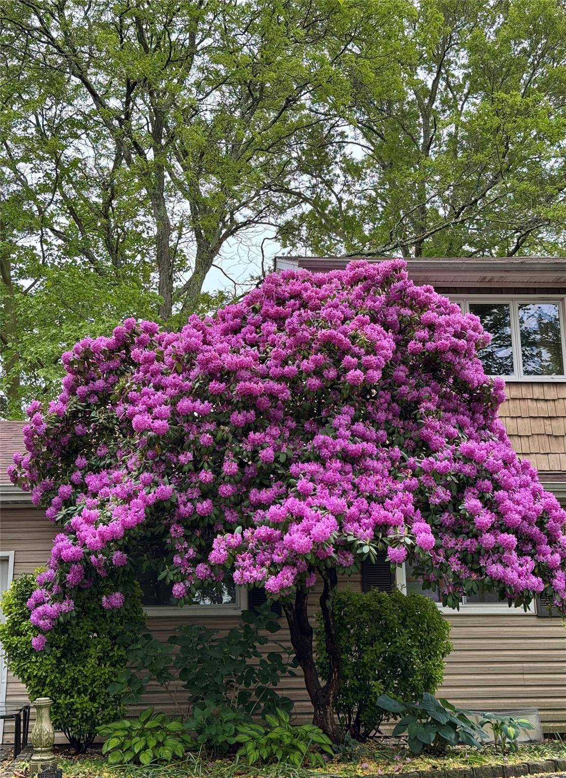 Melville, NY 11747,27 Newtown LN
