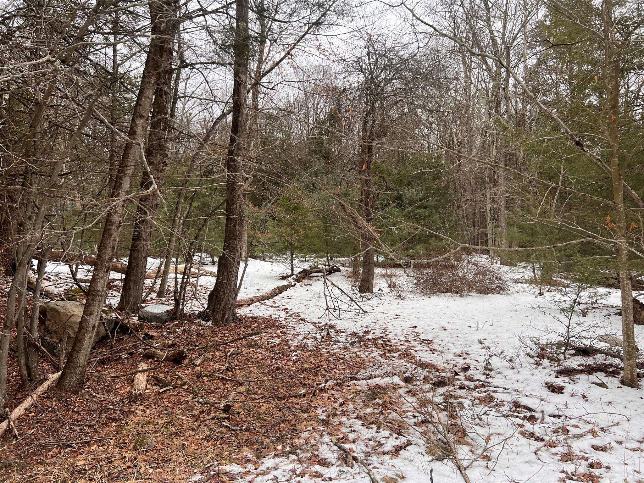 Rock Hill, NY 12775,Adams RD