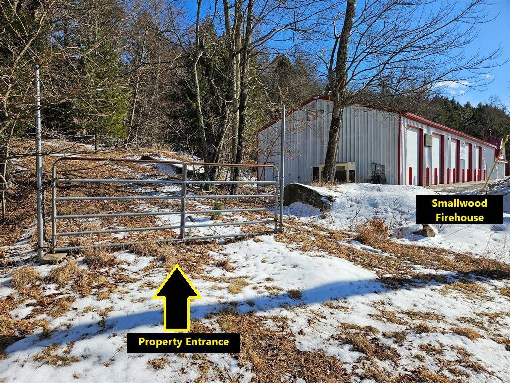 Mongaup Valley, NY 12762,177 Ballard RD