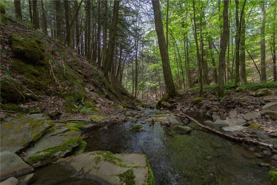 Arkville, NY 12406,12 Armstrong RD