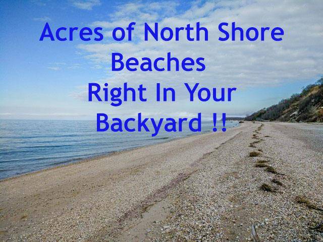 Shoreham, NY 11786,86 Highland Down