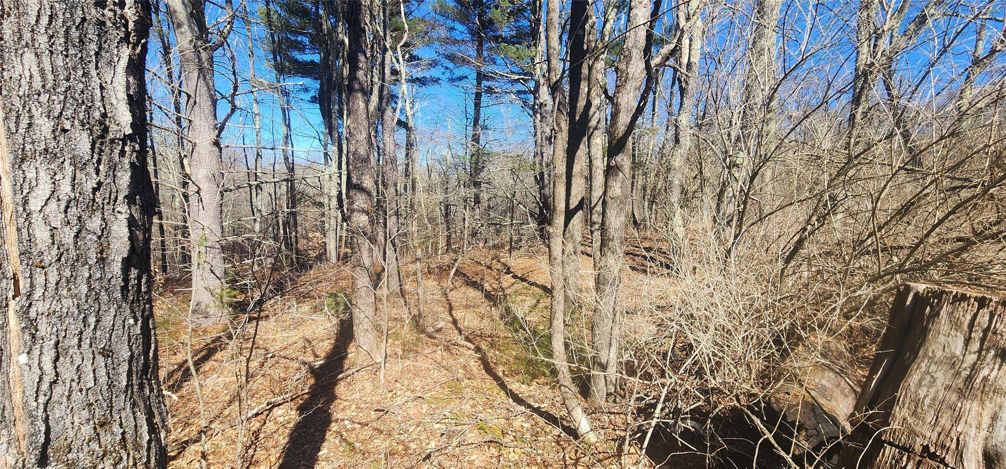 Harris, NY 12742,63 Harris RD