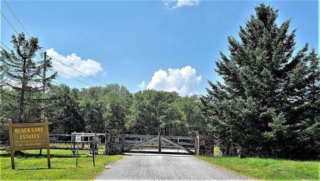 White Lake, NY 12786,Lot 6 Deer Meadow Road