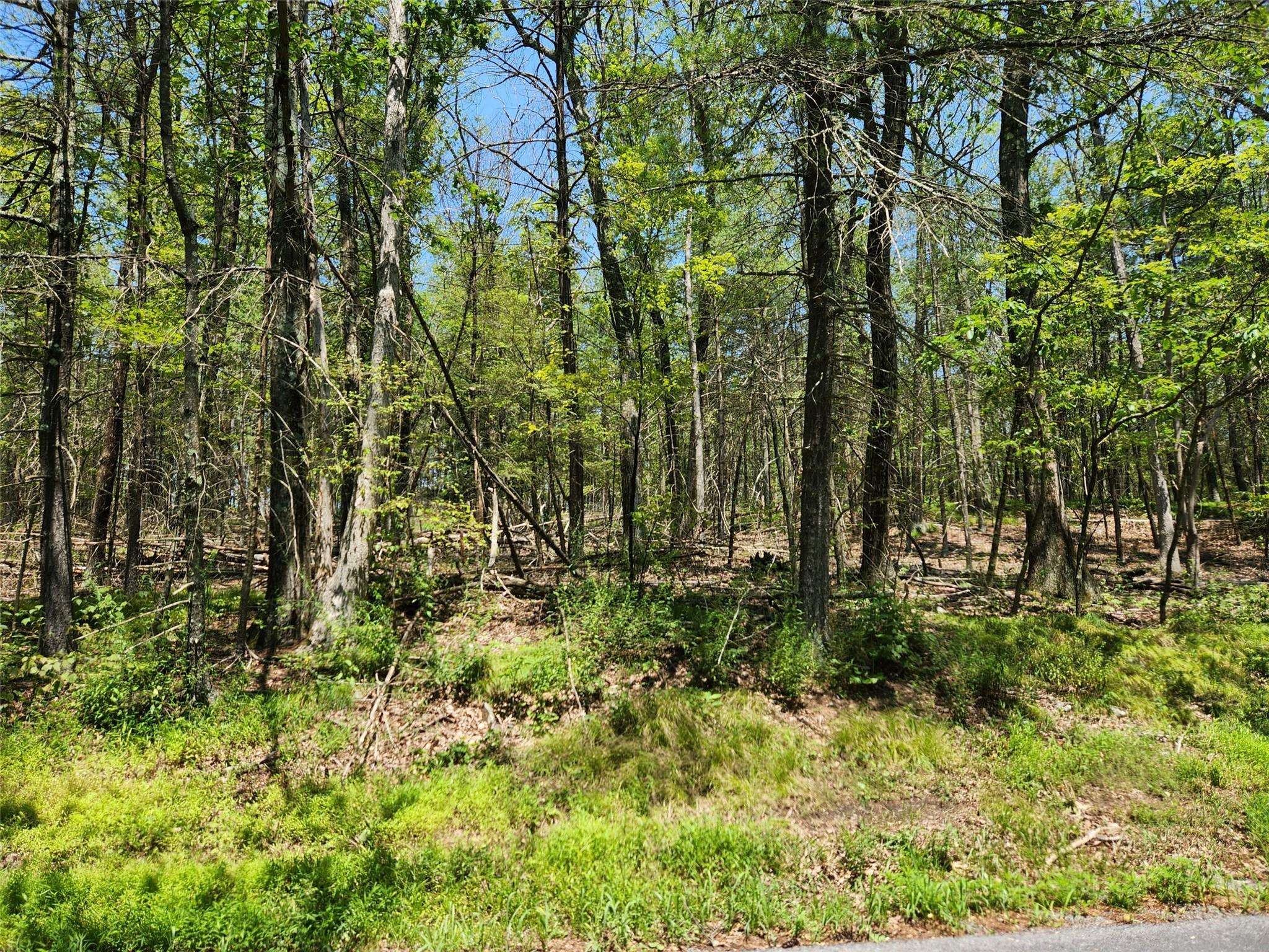Staatsburg, NY 12580,Schultz Hill RD
