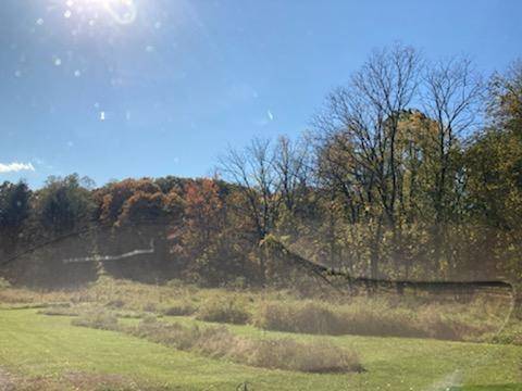 Rhinebeck, NY 12572,Primrose Hill RD