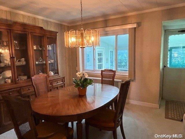 New Hyde Park, NY 11040,21 Elm DR