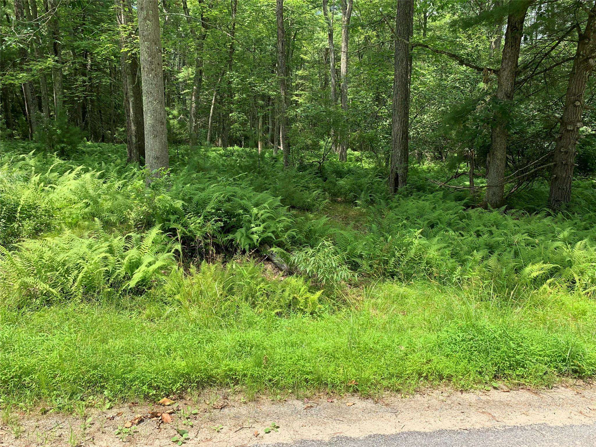 Narrowsburg, NY 12764,Lot 6 Francis DR
