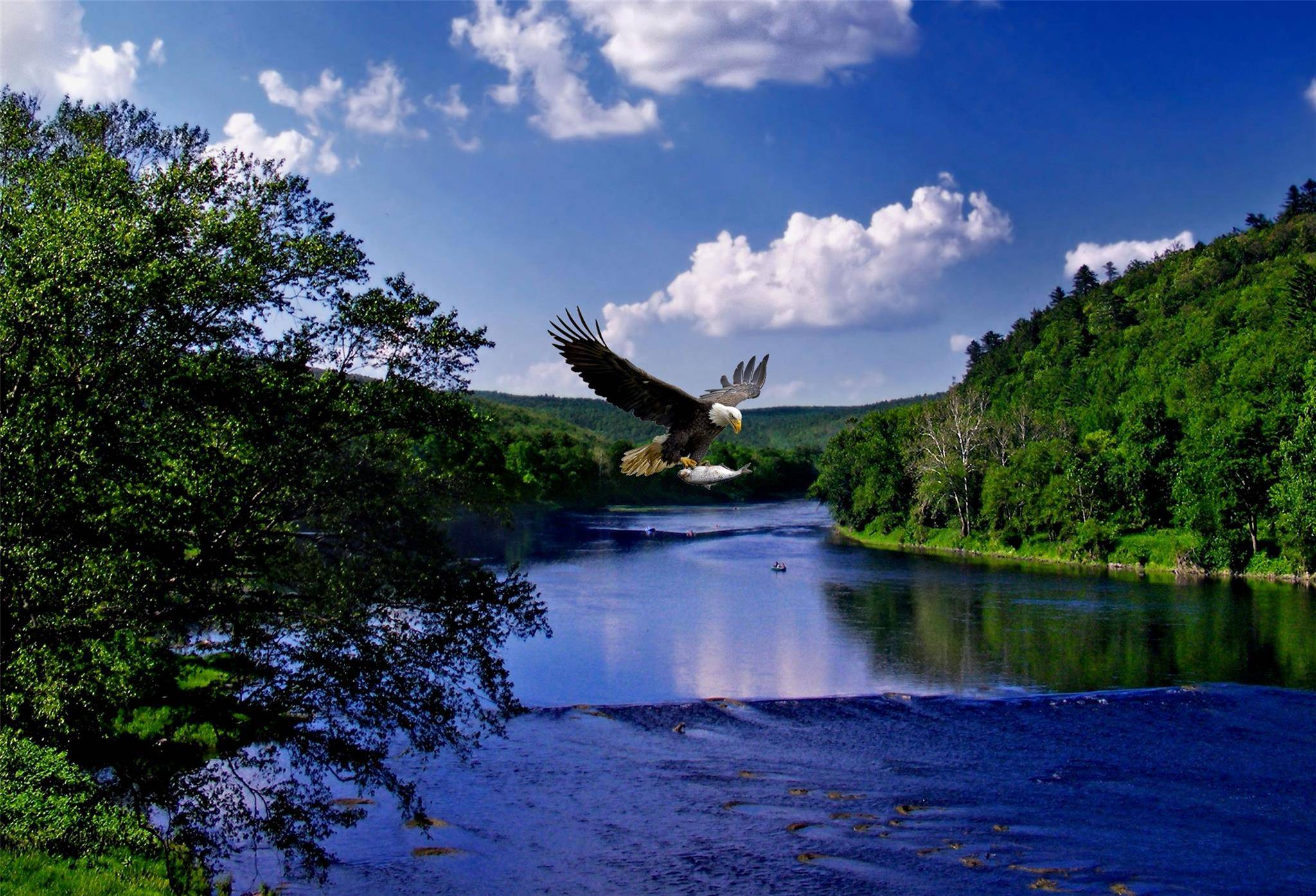 Long Eddy, NY 12760,1684 Kinney Road