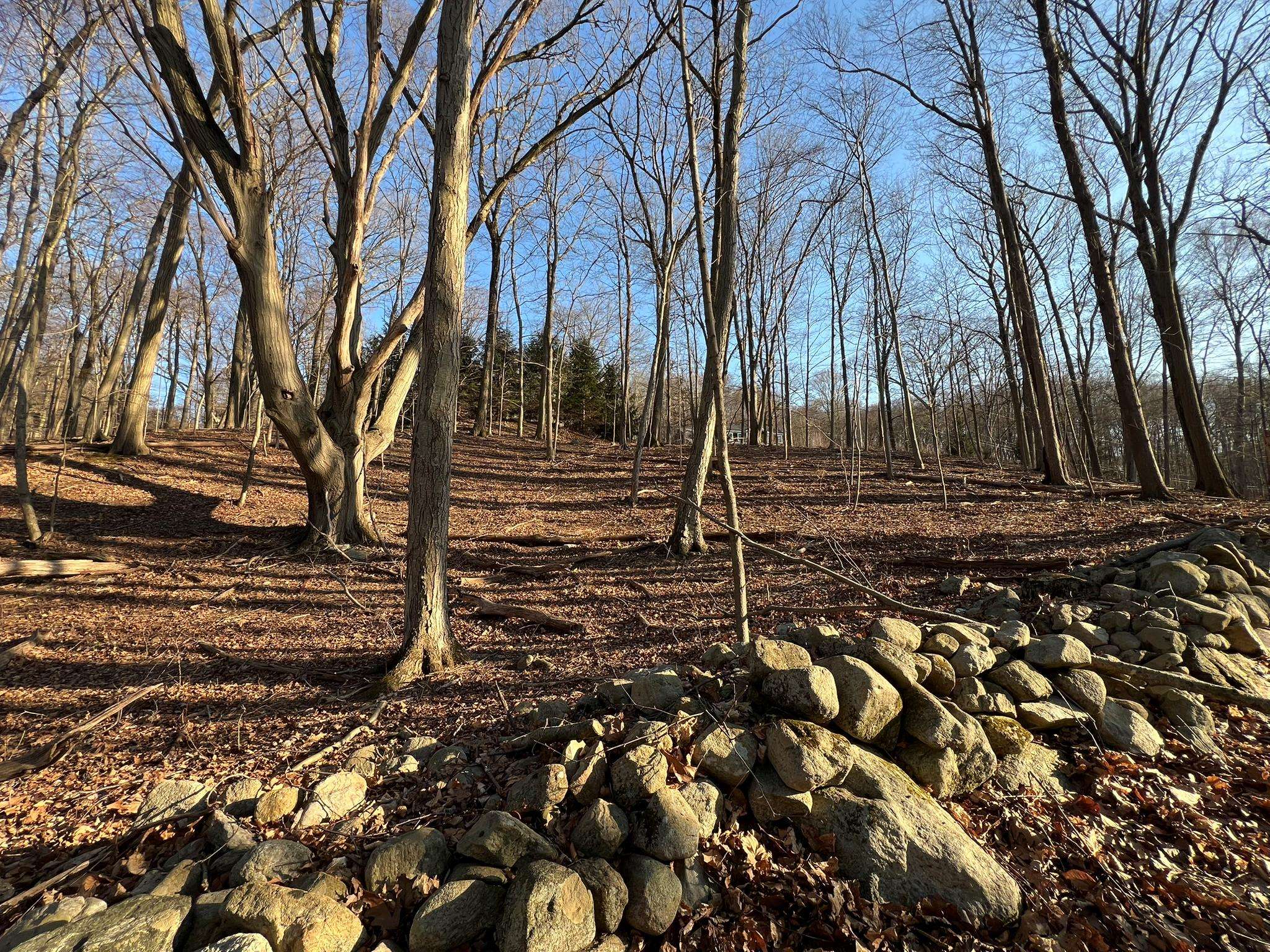 Garrison, NY 10524,52 Justins WAY