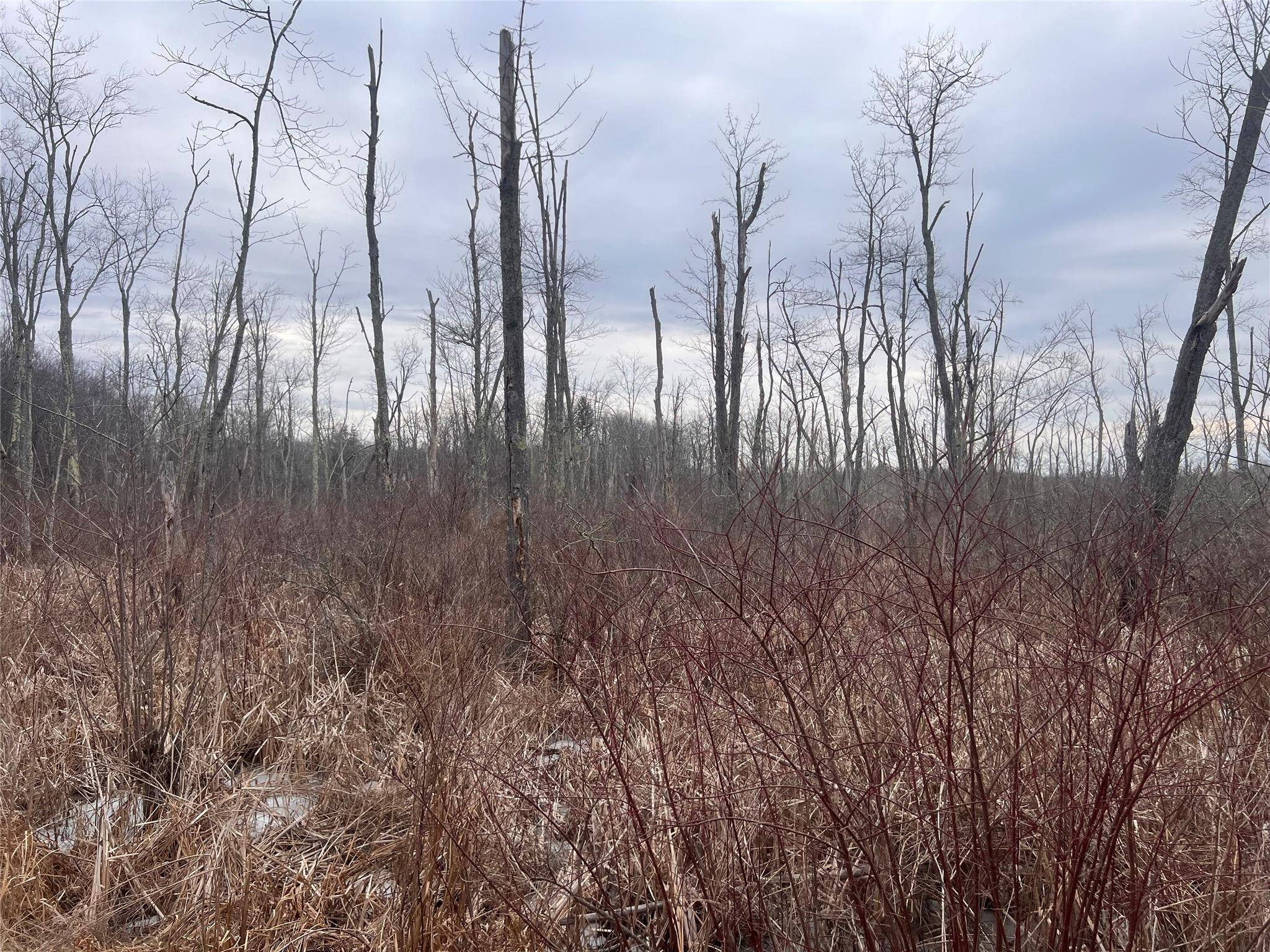 Wallkill, NY 12589,Freetown Highway