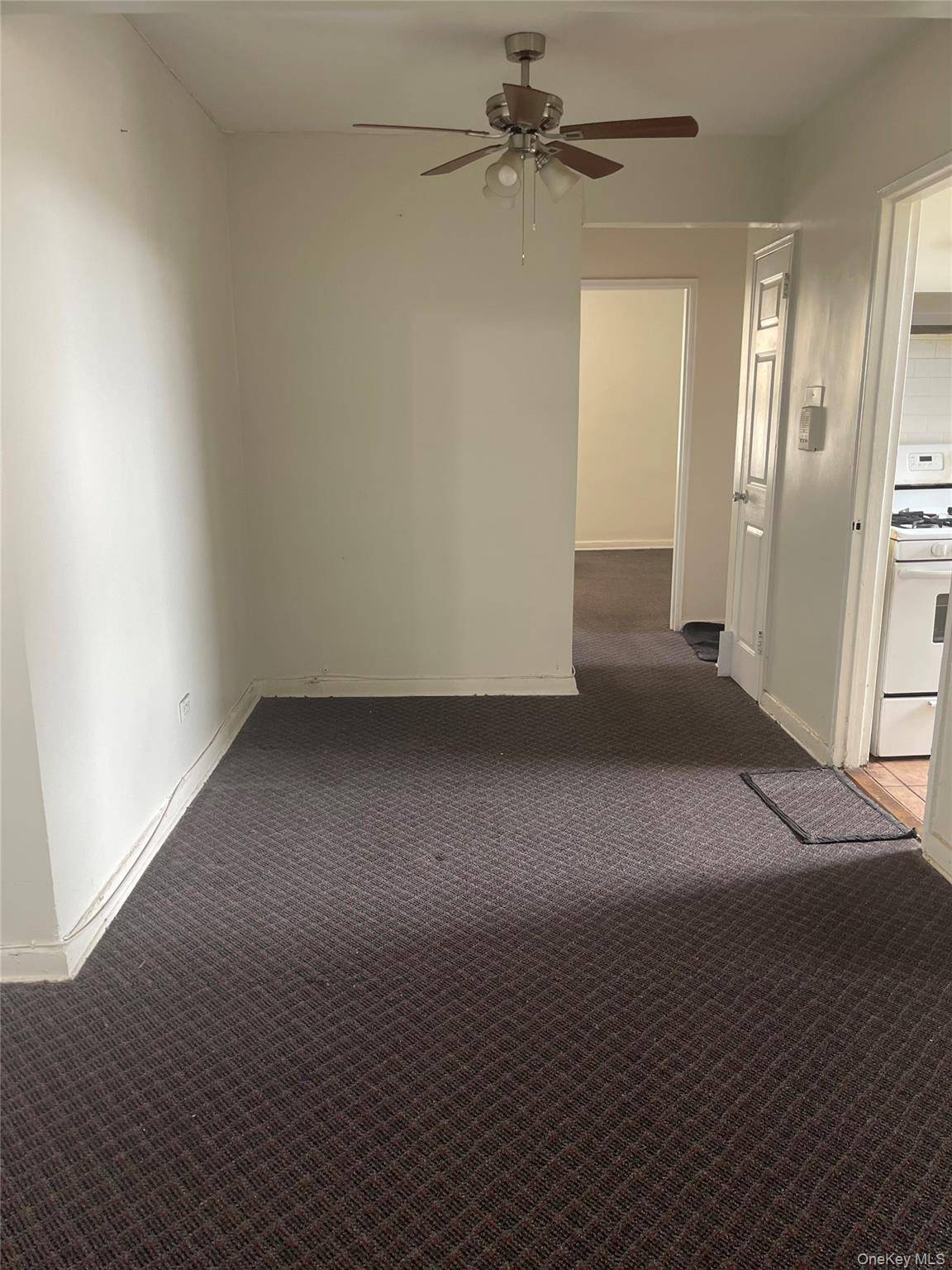 Jamaica, NY 11432,84-50 169 ST #509