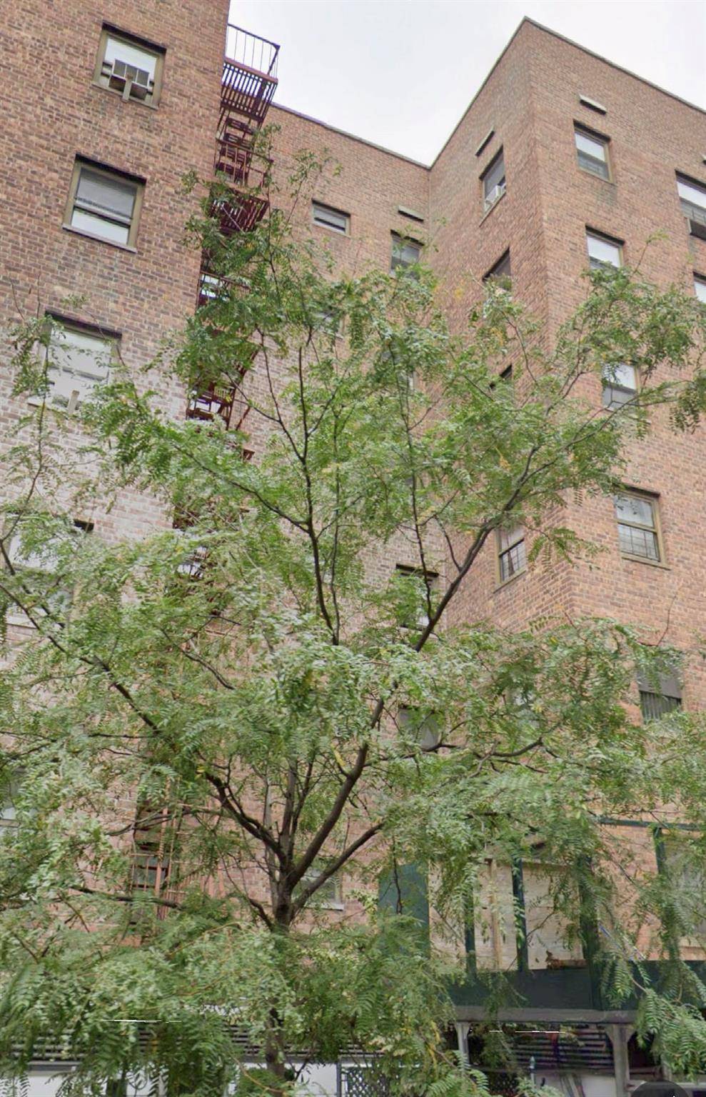 Elmhurst, NY 11373,94-31 59th AVE #4F