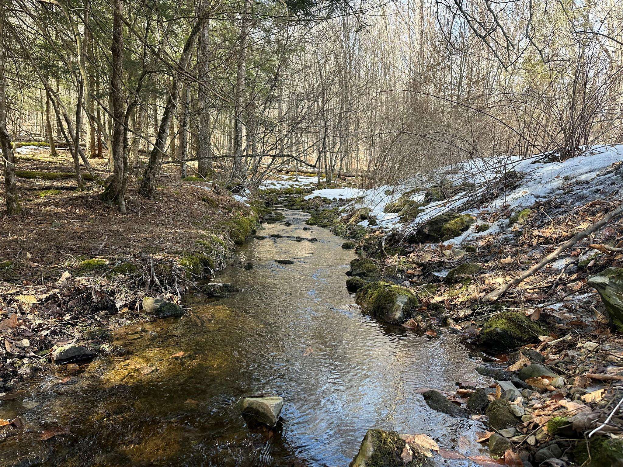 Livingston Manor, NY 12758,291 Beaverkill RD