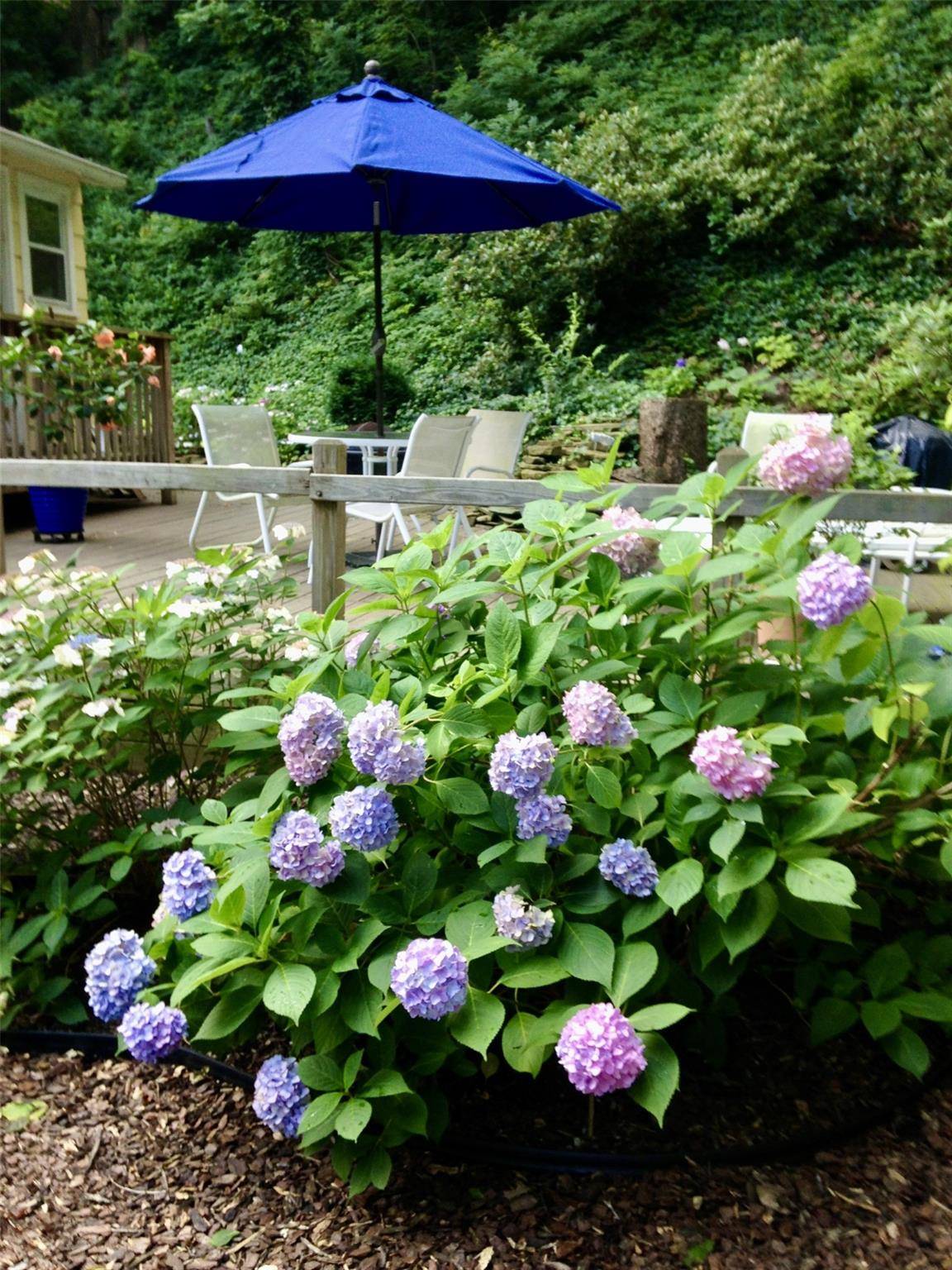 Glen Cove, NY 11542,25 Beverly RD