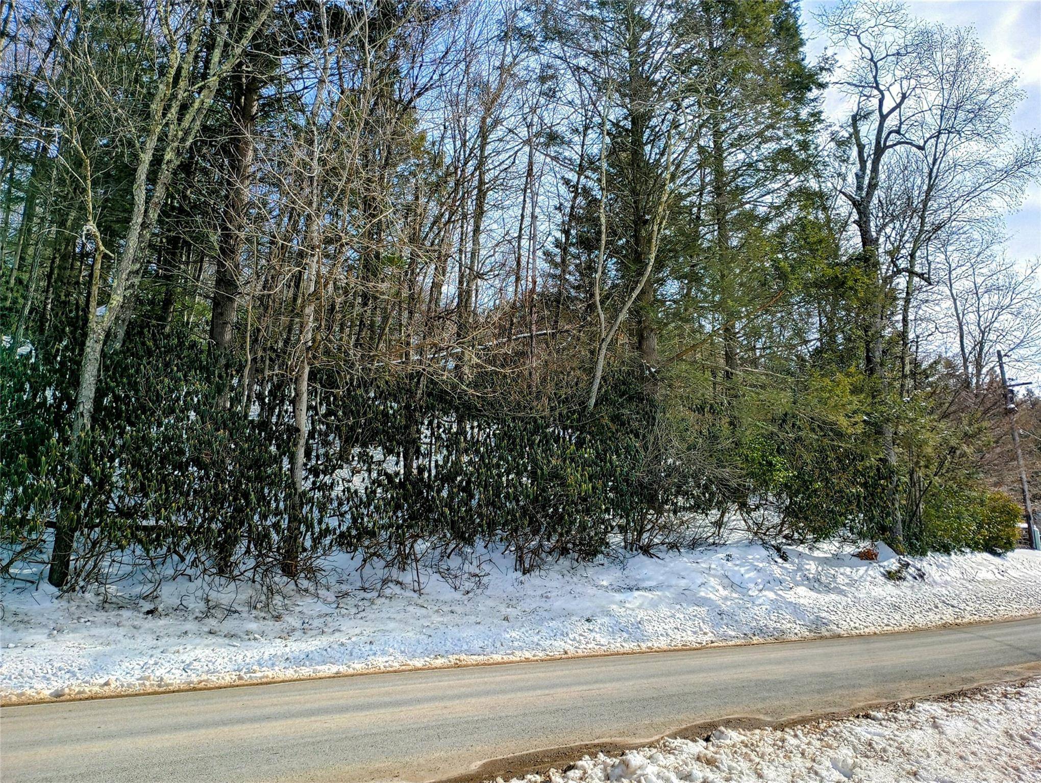 Neversink, NY 12765,Benton Hollow RD