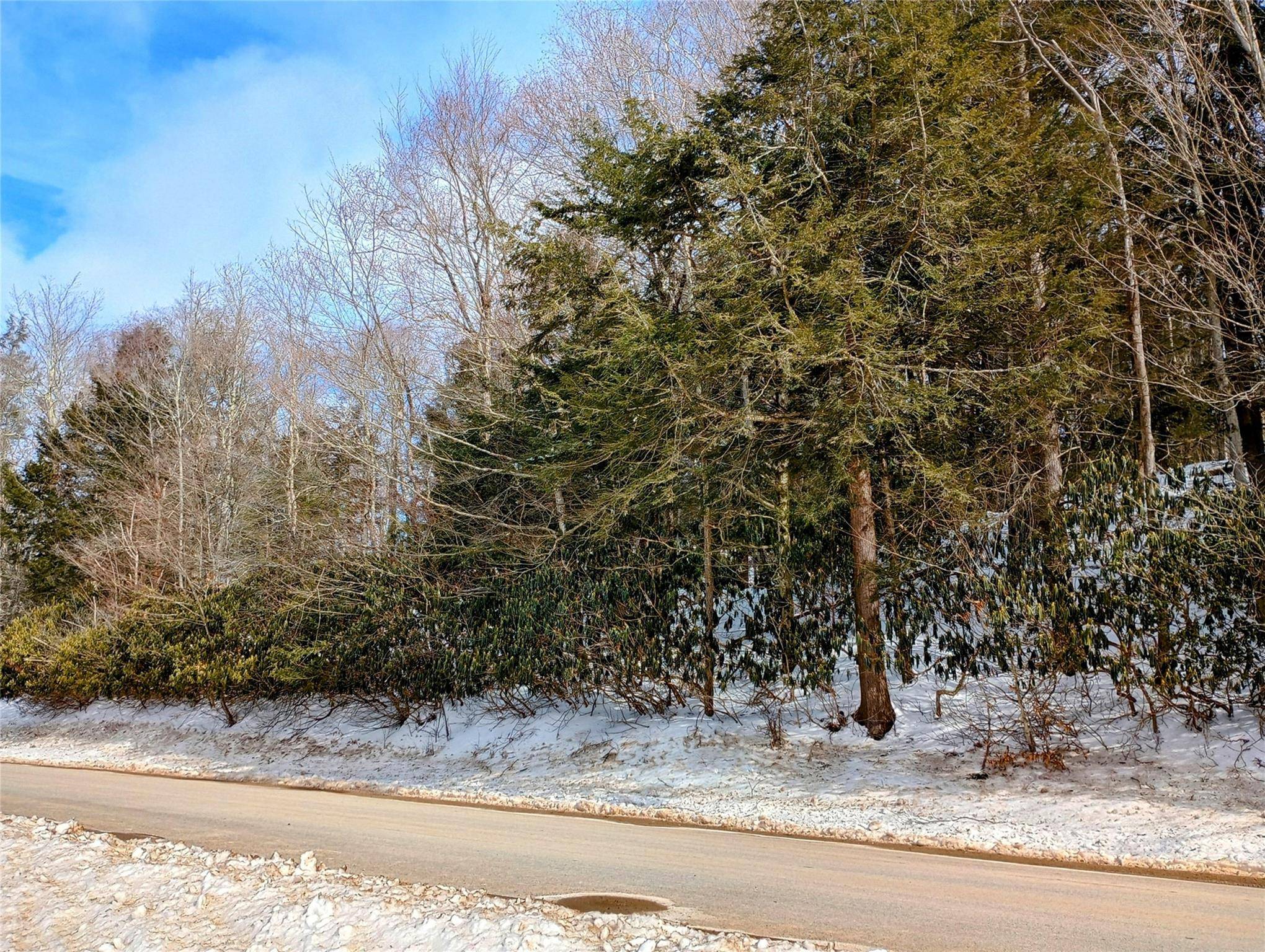 Neversink, NY 12765,Benton Hollow RD