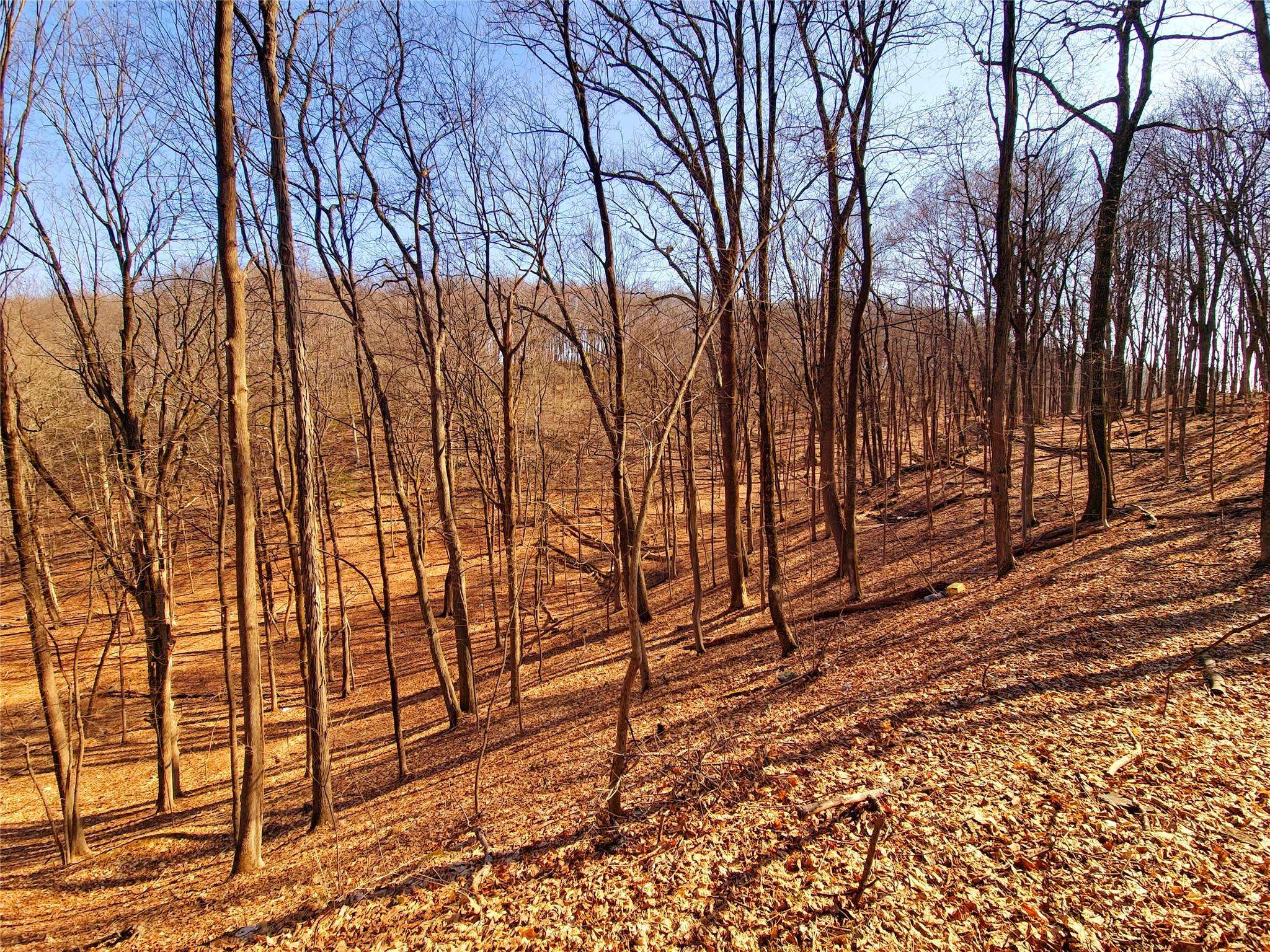Highland, NY 12528,White ST
