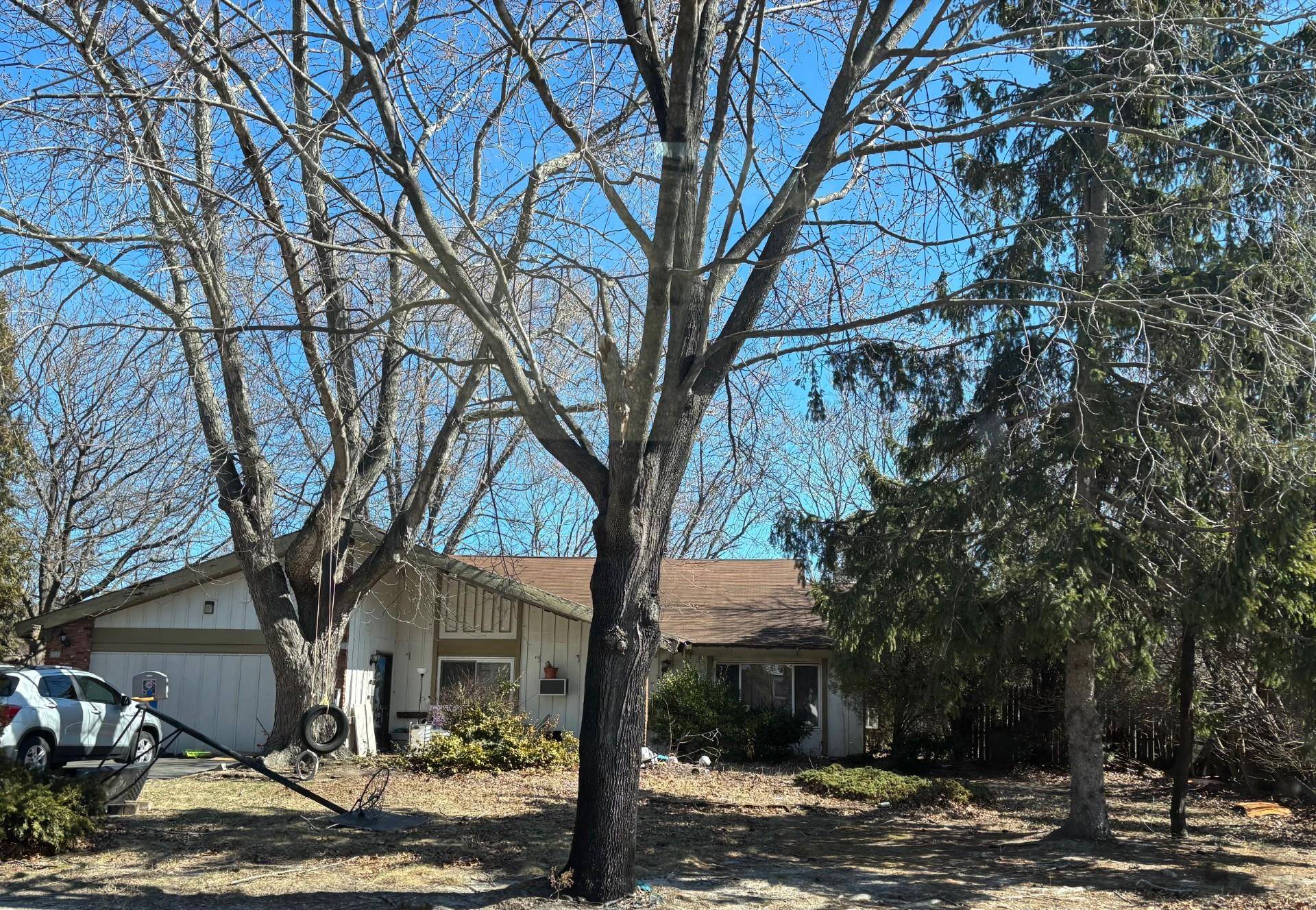Coram, NY 11727,52 Andover DR