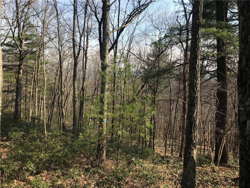 Wurtsboro, NY 12790,State Route 209