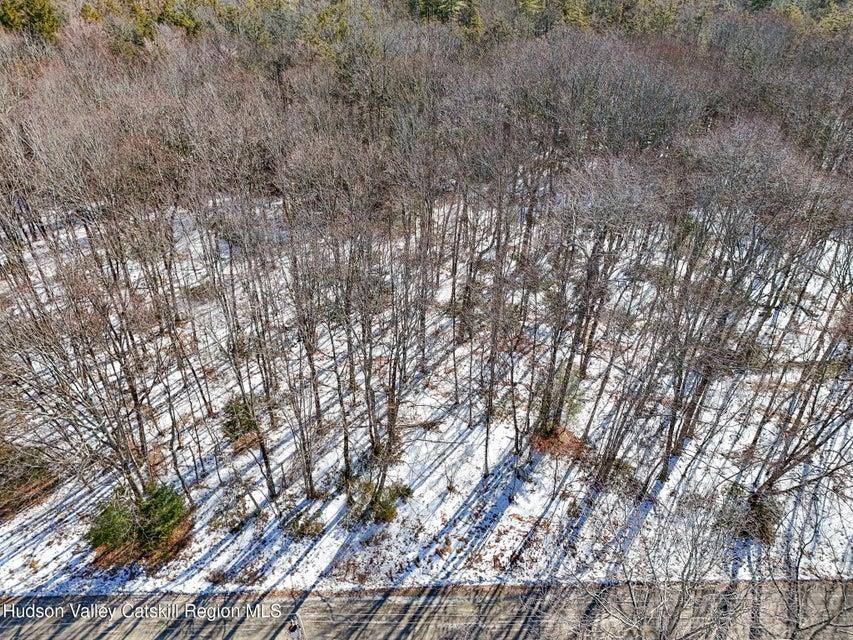 Kerhonkson, NY 12446,37 Wynkoop DR