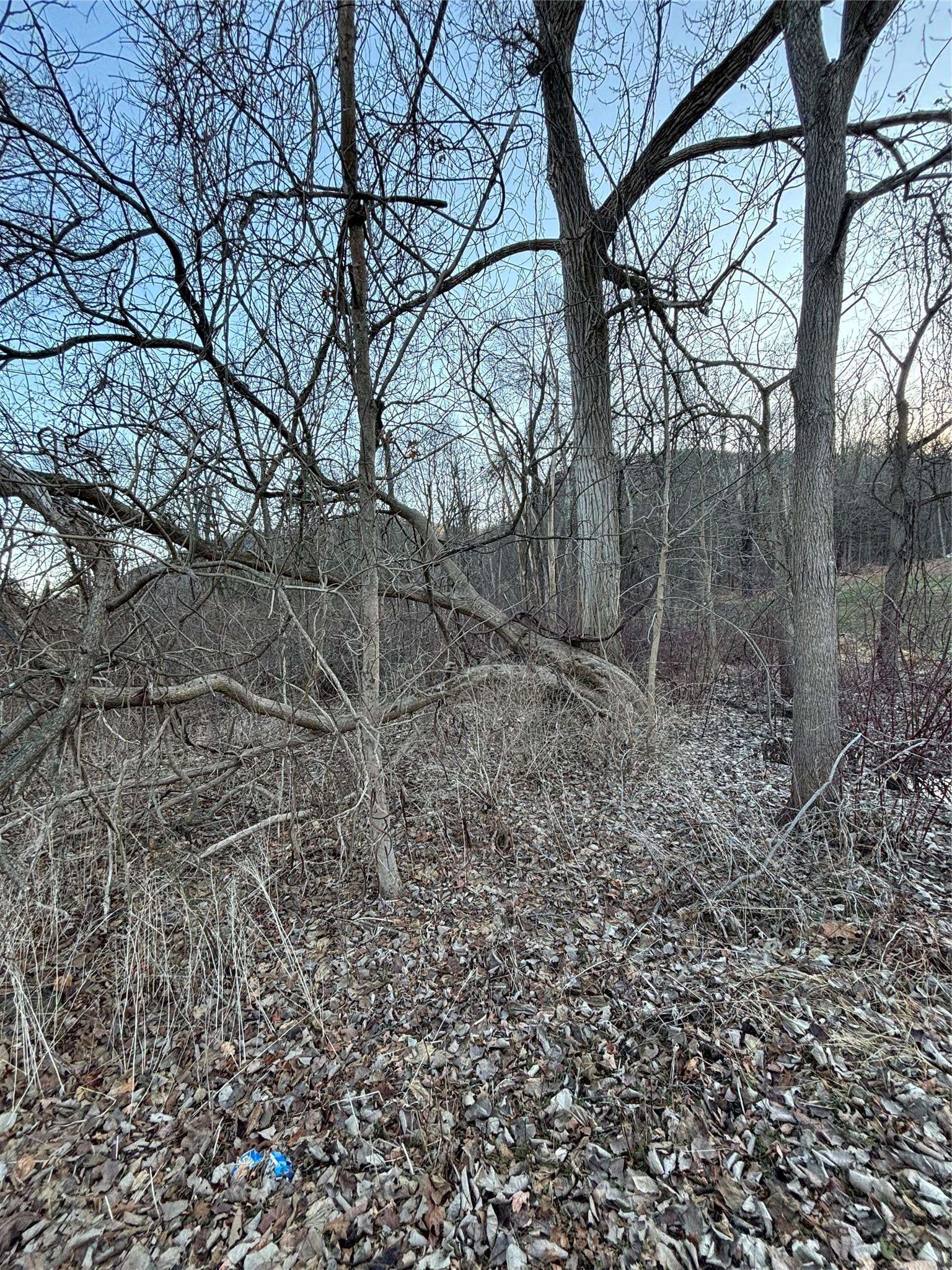 Esopus, NY 12487,302 Union Center RD