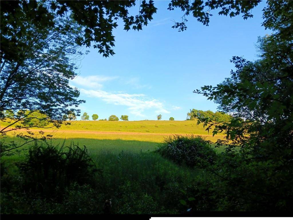 North Branch, NY 12766,295 Pleasant Valley Road