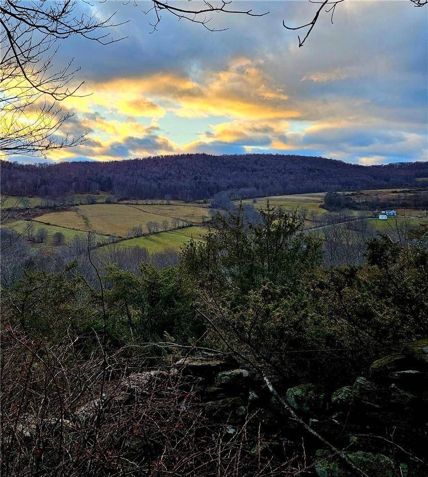 North Branch, NY 12766,295 Pleasant Valley Road