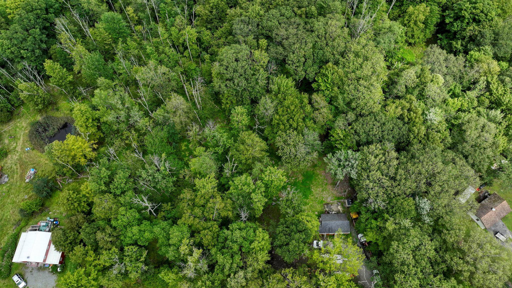 Greenfield Park, NY 12435,181 Oakridge RD